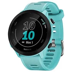 Relógio Smartwatch Garmin Forerunner 55 - Azul (010-02562-02)