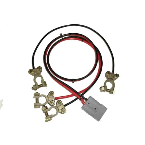 Ragtech Cabo P/ Modulo Bateria 24V 55CM 0020