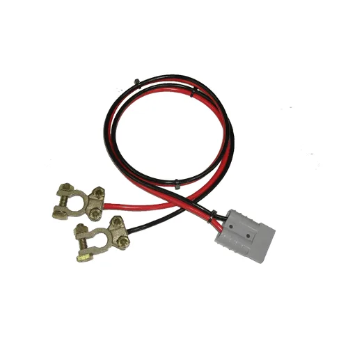 Ragtech Cabo P/ Modulo Bateria 12V 55CM 0019